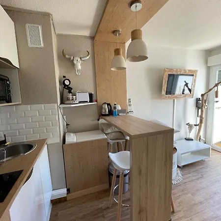 Studio Rez De Jardin A 900 M De La Plage * Agde