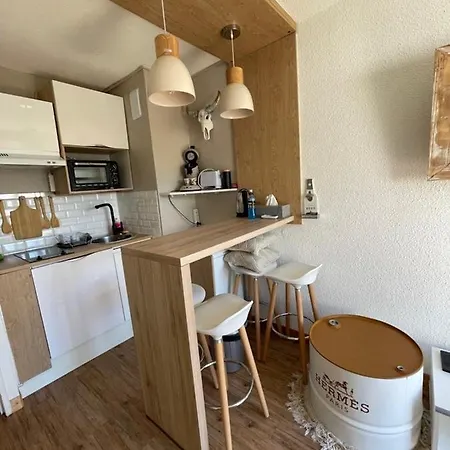 Studio Rez De Jardin A 900 M De La Plage * Agde