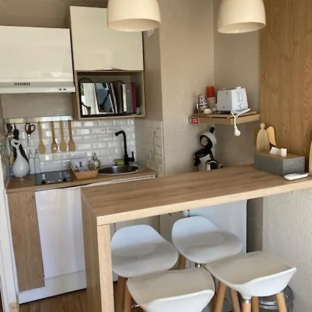 Studio Rez De Jardin A 900 M De La Plage Apartment